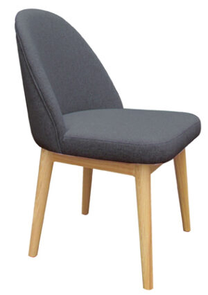 SNOW VISITOR CHAIR