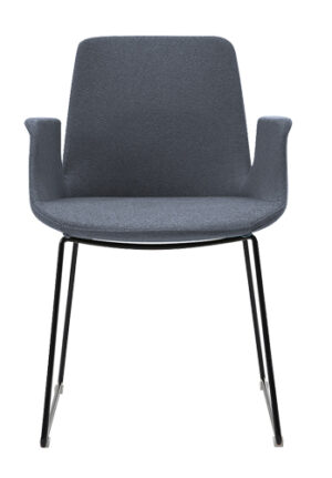 SUMMIT WITH ARMS