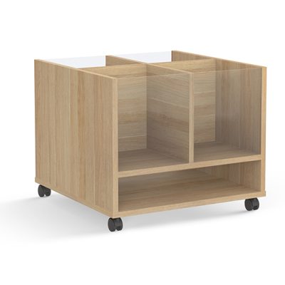ACADEMY BOOK BIN WITH PERSPEX ENDS