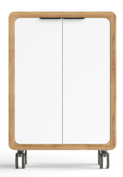 ROVER MOBILE CUPBOARD