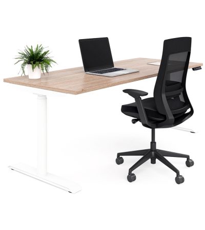 MOTION HEIGHT ADJUSTABLE DESK
