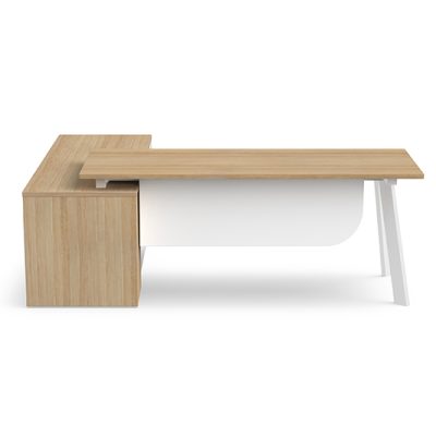 ACADEMY DIRECTOR EXECUTIVE DESK