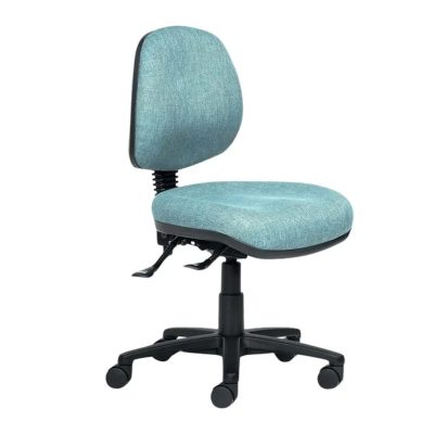 Delta Manual Mid Back Task Chair